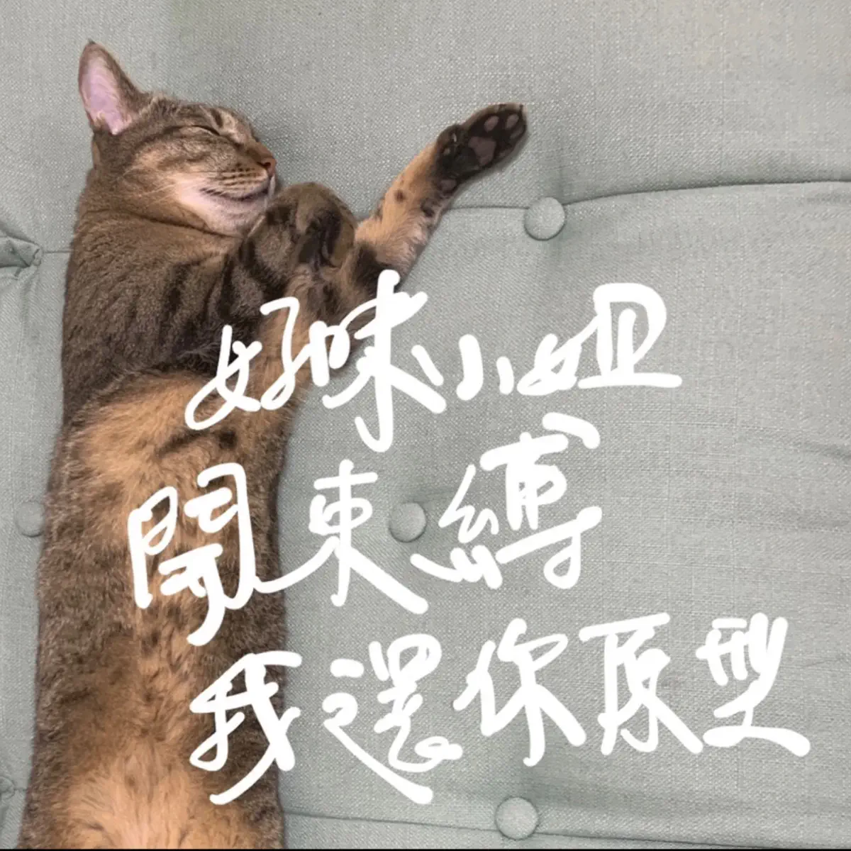 晴天整合行銷有限公司