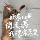 晴天整合行銷有限公司